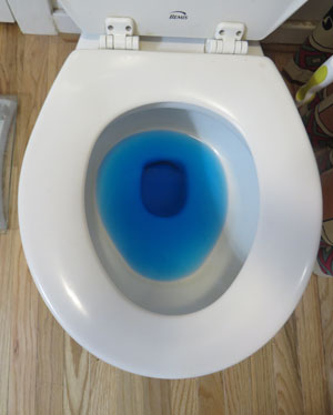 toilet-with-blue-water