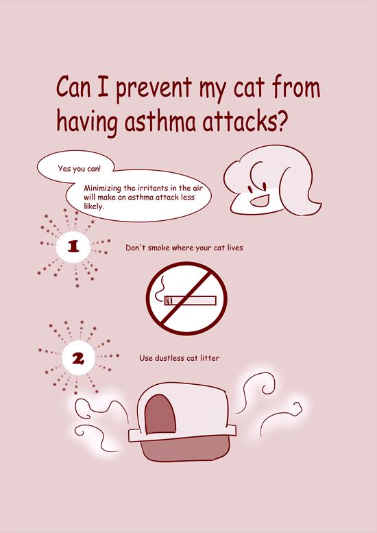 illustration-feline-asthma
