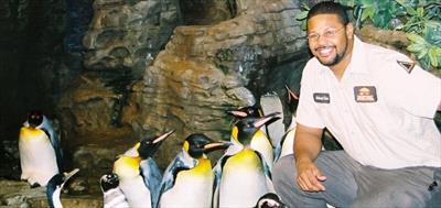 Penguins Cincinnati Zoo