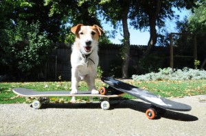 Jonesy Skateboarding