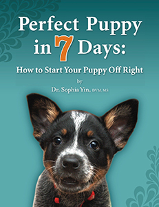 Perfect Puppy in 7 Days