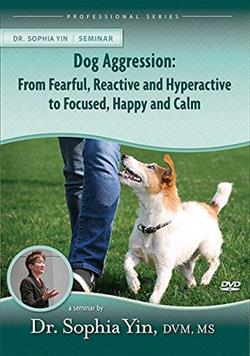 Dog Aggression