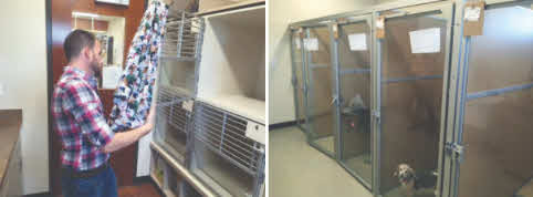 Laminate vs. Stainless Steel Cages