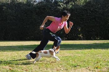 Exercising with your Dog