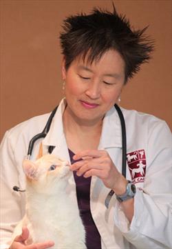 Dr. Sophia Yin and yellow cat