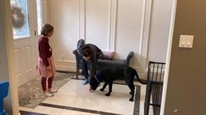 A girl watches a woman put a treat on the floor in front of a black dog