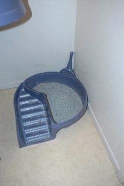 a litterbox with access stairs