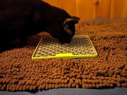 A black cat licks treats off a mat placed on the floor 